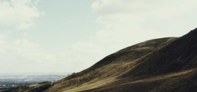 Rüyada Bebek Öpmek Koklamak