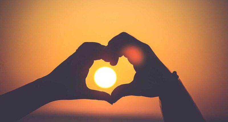 Rüyada Beyaz Akasya Çiçeği Görmek Rüyada Beyaz Akasya Çiçeği Görmek