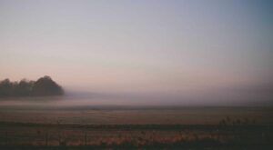 Rüyada Beyaz Gelin Arabası Görmek