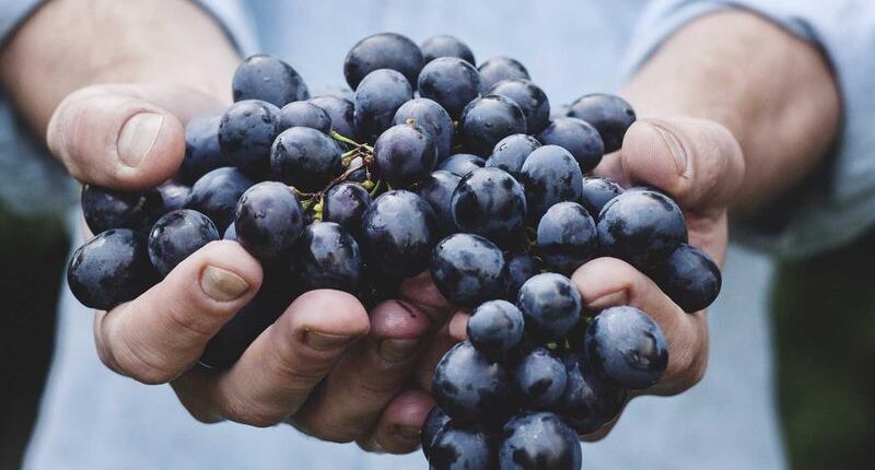 Rüyada Bilekliğin Kopması