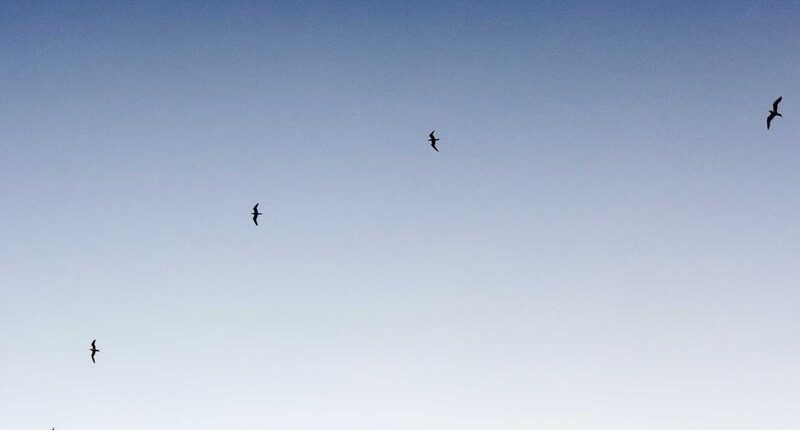 Rüyada Evde Karafatma Görmek