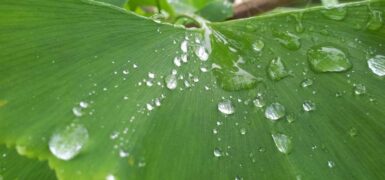 Rüyada Evde Tadilat Yapıldığını Görmek