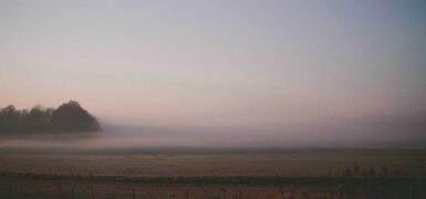 Rüyada Gerçekte Yaşayan Birinin Mezarını Görmek