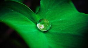 Rüyada Kaldırım Taşı Görmek