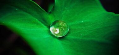 Rüyada Kaldırım Taşı Görmek