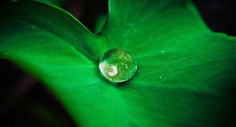 Rüyada Kaldırım Taşı Görmek