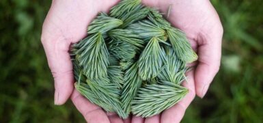 Rüyada Mezar Da Dua Etmek