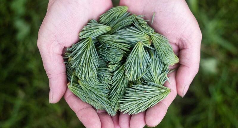 Rüyada Mezar Da Dua Etmek