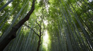 Rüyada Sahilde Oturmak