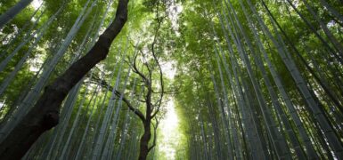 Rüyada Sahilde Oturmak