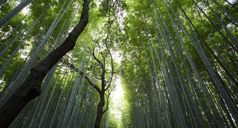 Rüyada Sahilde Oturmak