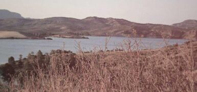 Rüyada Silahla Birini Vurdum