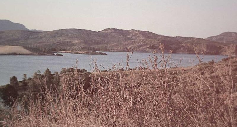 Rüyada Silahla Birini Vurdum